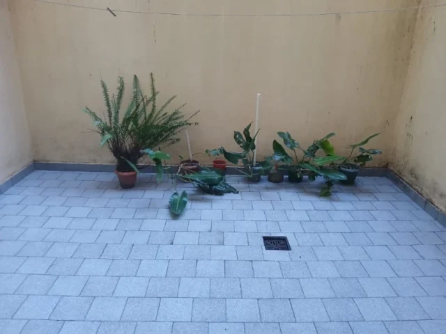 Departamentos, pisos y semipisos en Venta — Av. Colón 1930