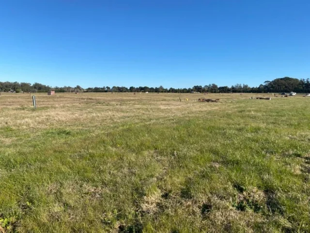 Lotes y terrenos en Venta — CASONAS DEL HARAS