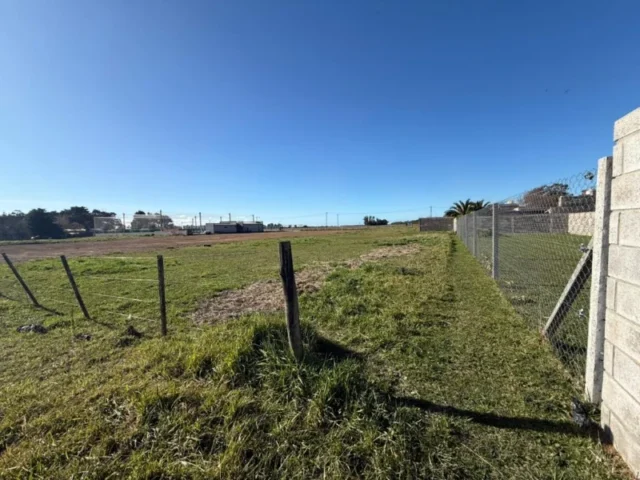 Lotes y terrenos en Venta — Viedma