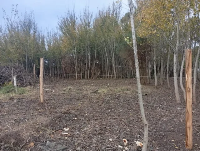 Lotes y terrenos en Venta — Barrio San Jacinto