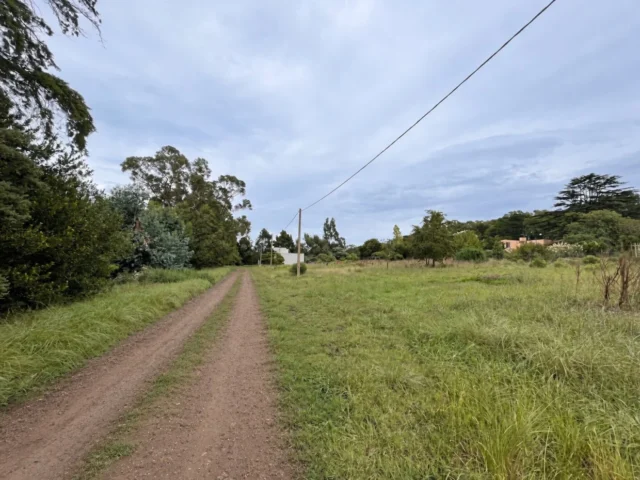 Lotes y terrenos en Venta — Av. 31 1302