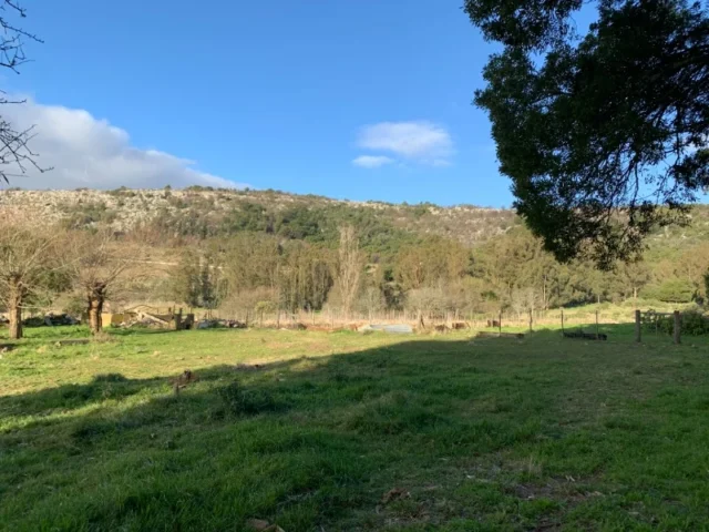 Lotes y terrenos en Venta — 4P7G+8H Balcarce