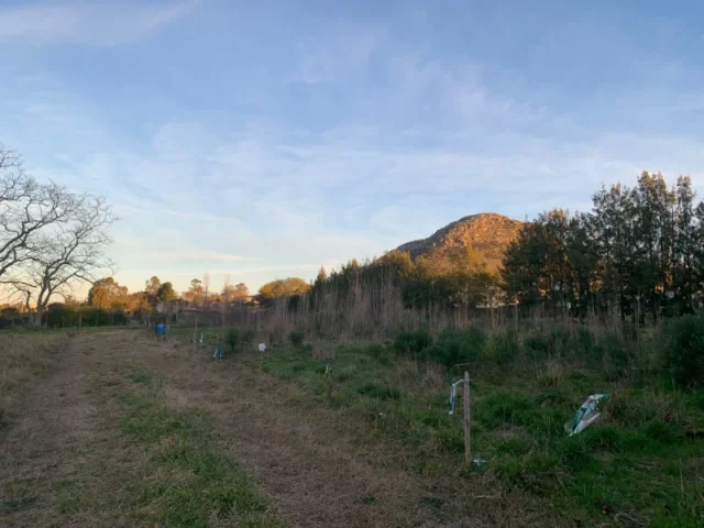 Lotes y terrenos en Venta — Av. Suipacha 1513