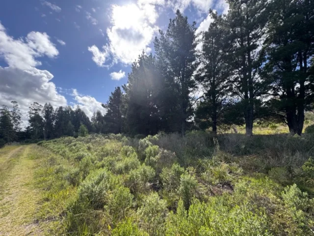 Lotes y terrenos en Venta — C. 47 1860