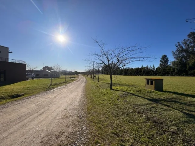 Lotes y terrenos en Venta — C. 95