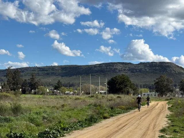 Lotes y terrenos en Venta — C. 44 802