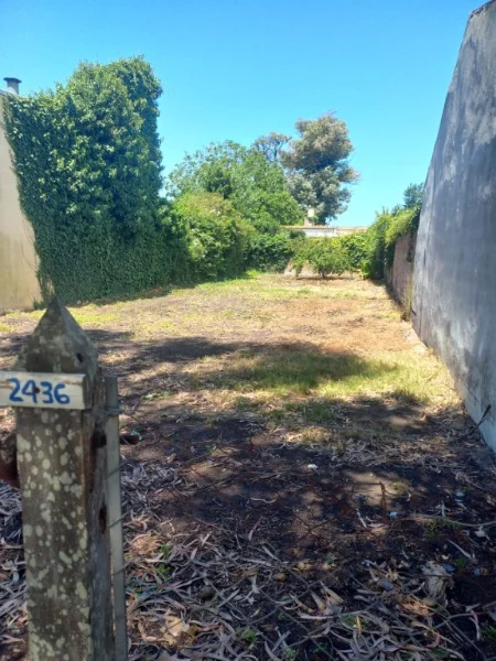 Lotes y terrenos en Venta — Benito Juarez 2436