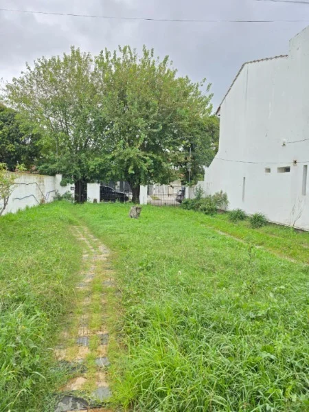 Casas, chalets en Venta — Francia 300