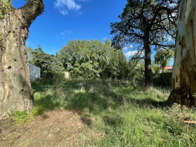 Lotes y terrenos en Venta — Plus Ultra 2170