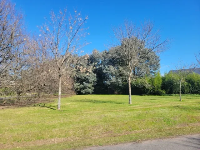 Lotes y terrenos en Venta — Los Pinos, Rumenco