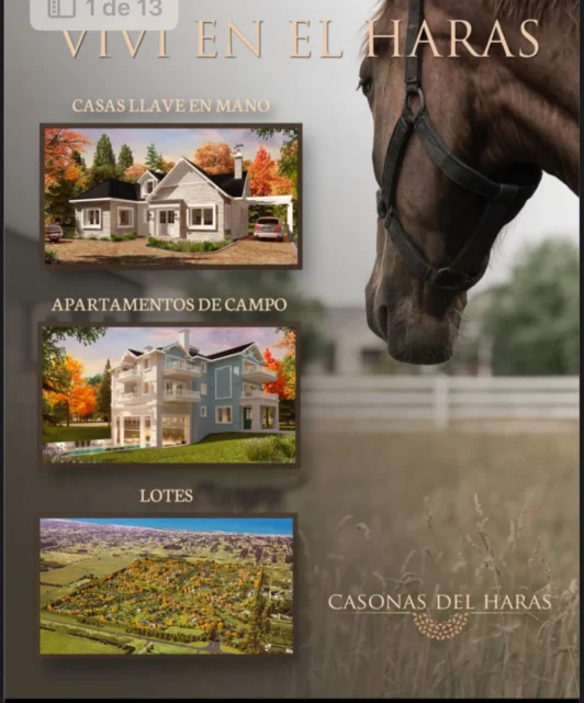 Lotes y terrenos en Venta — Lote en Casonas del Haras