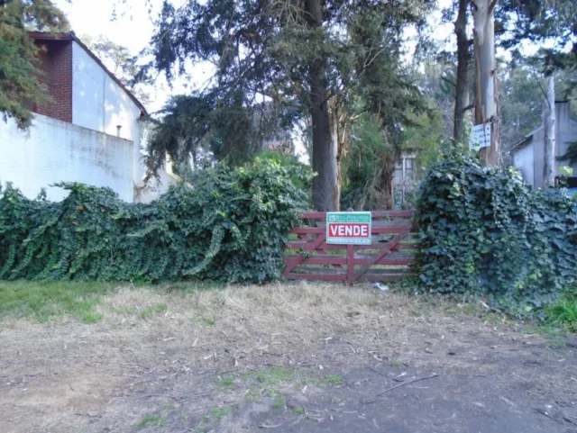 Lotes y terrenos en Venta — Don Arturo 3131
