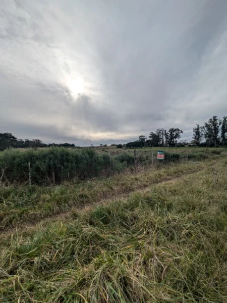 Lotes y terrenos en Venta — Calle 50 y 475