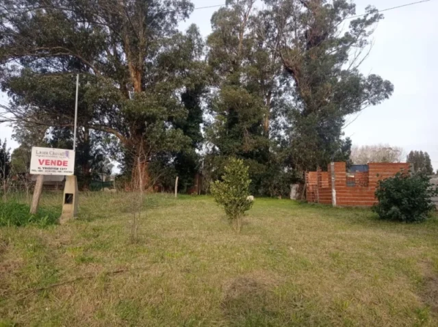 Lotes y terrenos en Venta — de la maza 4178
