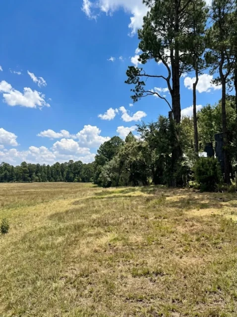 Lotes y terrenos en Venta — Ignacio
