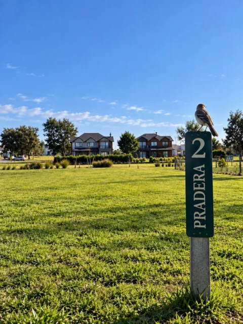Lotes y terrenos en Venta — Barrio Casonas del Haras