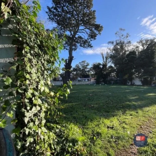 Lotes y terrenos en Venta — C. las Lambercianas 6900