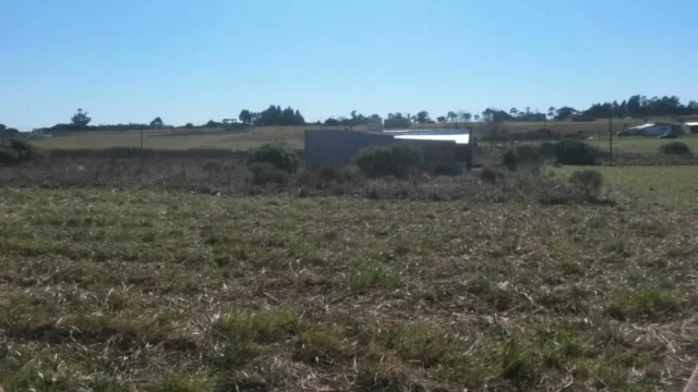 Lotes y terrenos en Venta — Calle 811