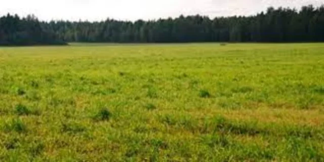 Lotes y terrenos en Venta — ESQUIU