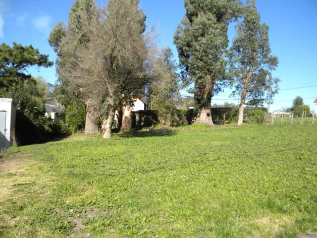 Lotes y terrenos en Venta — Gertrudis