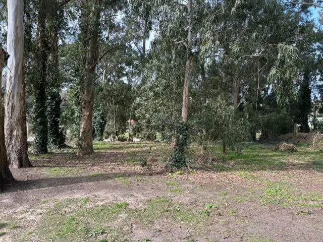 Lotes y terrenos en Venta — Pierina y Armando
