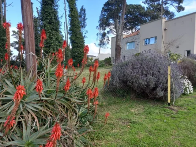 Lotes y terrenos en Venta — Teresa