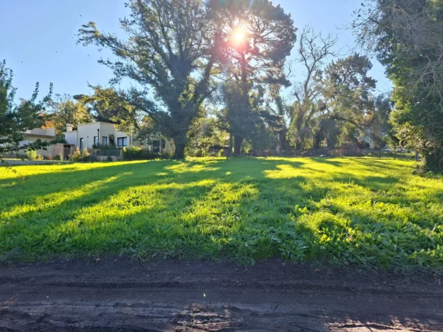 Lotes y terrenos en Venta — IGNACIO ESQ MARTA