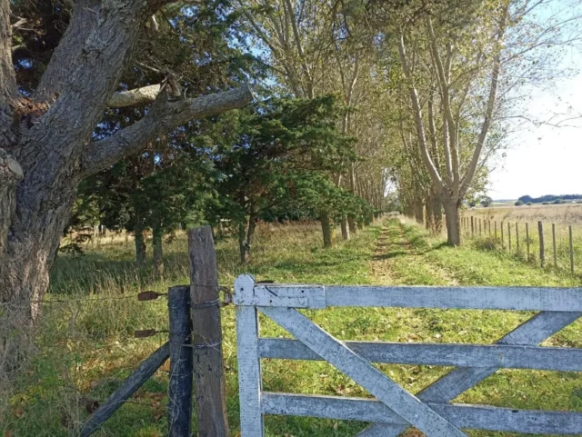 Campos y chacras en Venta — RUTA 88, KM 20