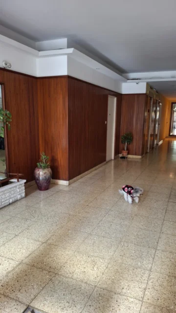 Departamentos, pisos y semipisos en Alquiler — BOLIVAR 2700
