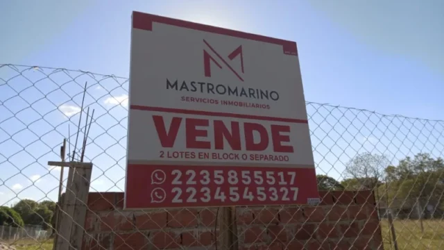Lotes y terrenos en Venta — Jose Coelho Meyrelles