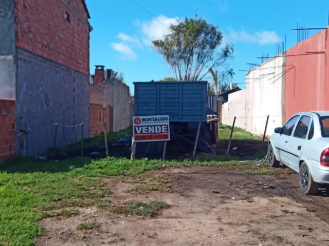 Lotes y terrenos en Venta — Carlos tejedor