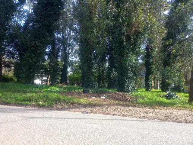 Lotes y terrenos en Venta — Las margaritas