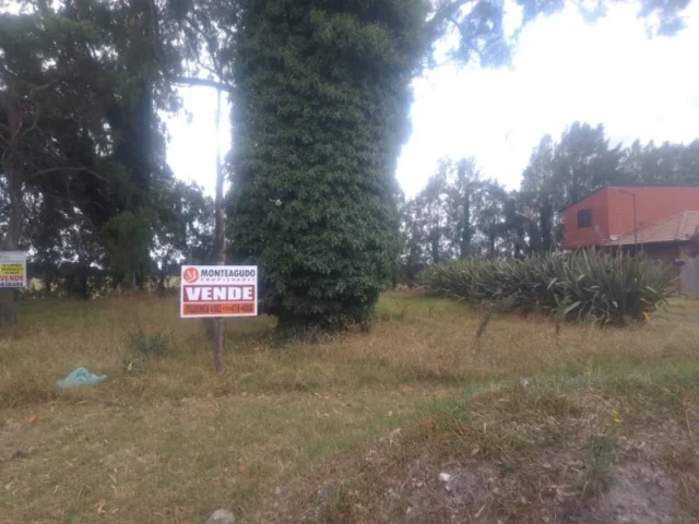 Lotes y terrenos en Venta — Manuwal