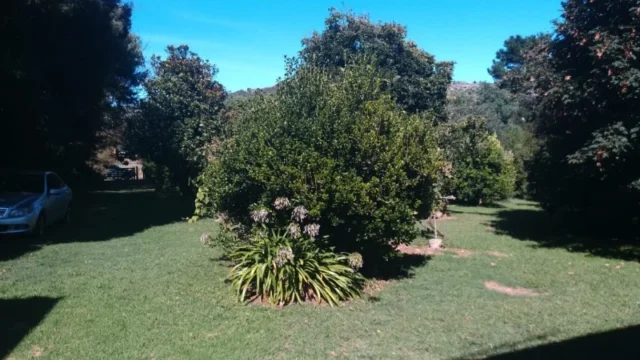 Quintas en Venta — Ruta 226