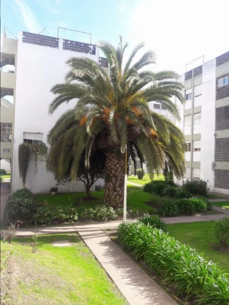Departamentos, pisos y semipisos en Venta — Aragon 7460