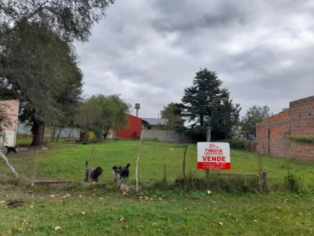Lotes y terrenos en Venta — cisneros 655