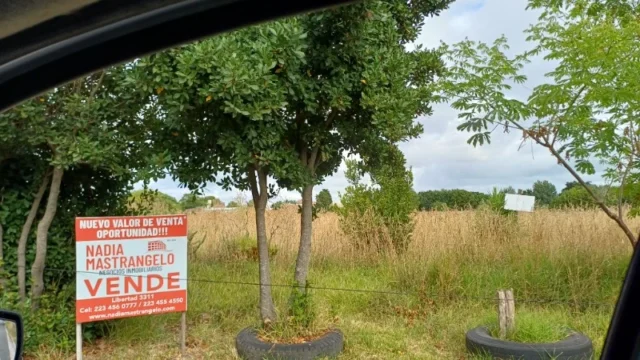 Lotes y terrenos en Venta — México 267