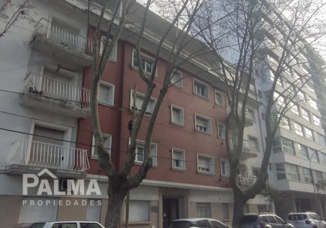 Departamentos, pisos y semipisos en Venta — Brown 2506