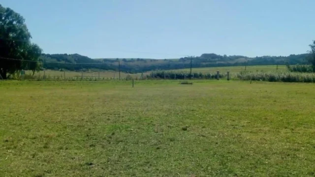 Lotes y terrenos en Venta — JUAN MANUEL BORDEU 3500