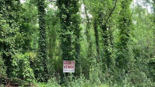 Lotes y terrenos en Venta — Mar de Cobo
