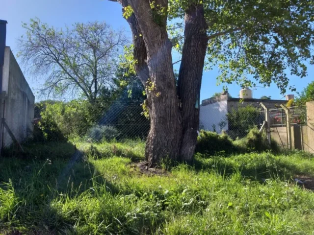 Lotes y terrenos en Venta — MARCOS SASTRE 2500