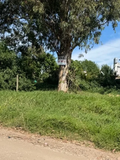 Lotes y terrenos en Venta — Mosconi
