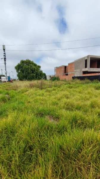 Lotes y terrenos en Venta — Juan J. Paso esquina Las Heras