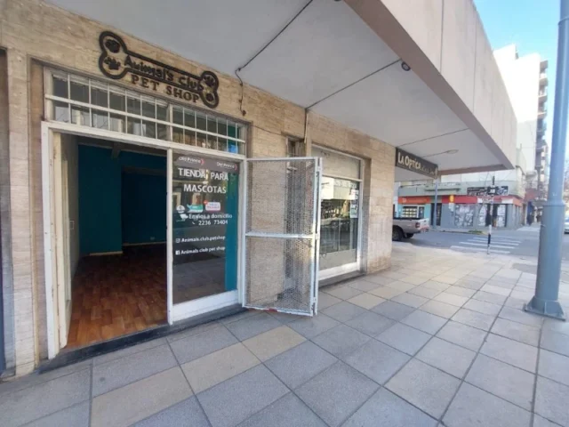 Locales en Alquiler — Moreno 2900