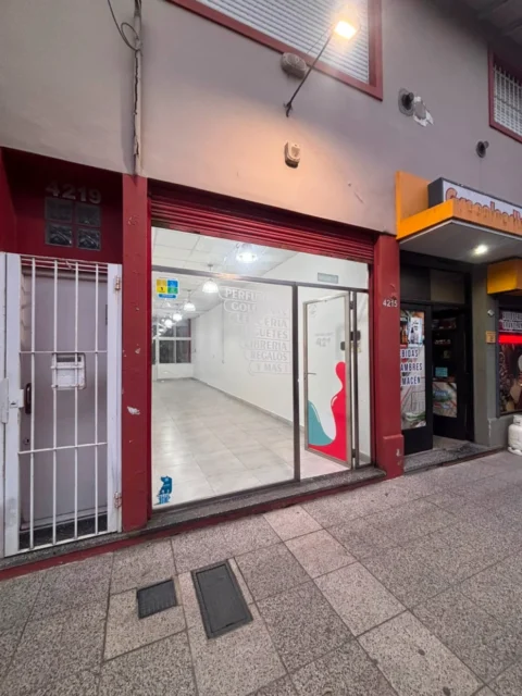 Locales en Alquiler — Magallanes 4200