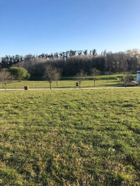 Lotes y terrenos en Venta — barrancas