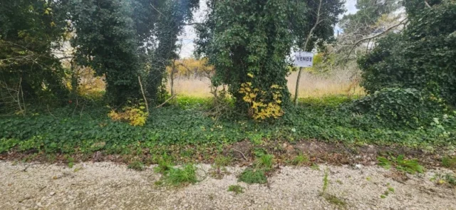 Lotes y terrenos en Venta — 49MX+7P Camet