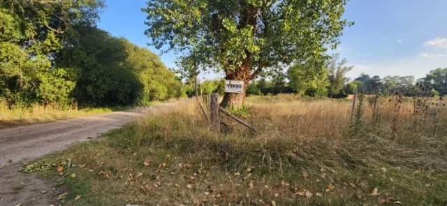 Lotes y terrenos en Venta — 4CH3+F6 Camet