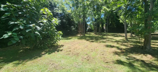 Lotes y terrenos en Venta — C. San Pedro 4521