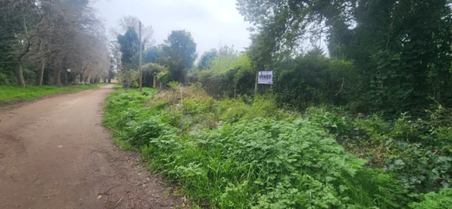 Lotes y terrenos en Venta — Calle Sta. Rosa 4972